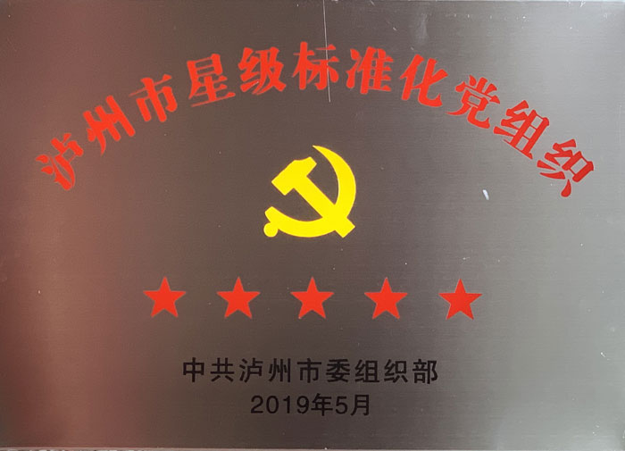 五星级党组织.jpg